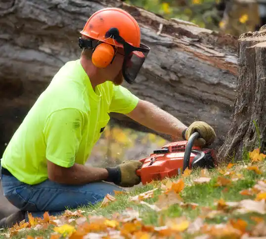 tree services Hemingford